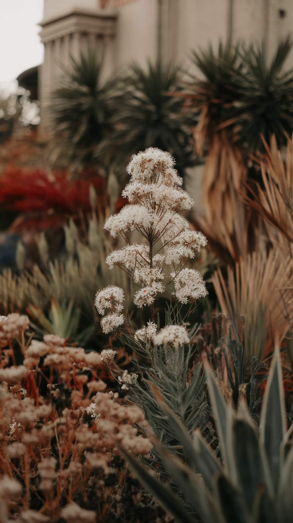 A close-up of Adam's Needle in bloom, showcasing white flowers against a backdrop of various plants.